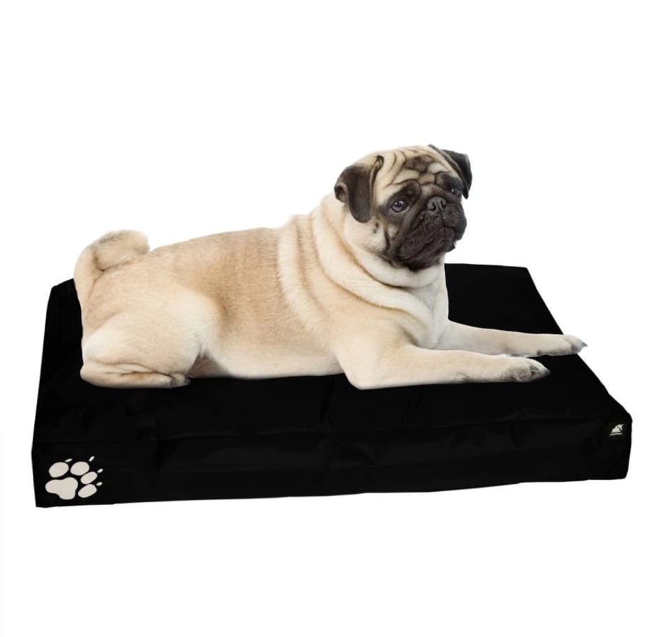 Elephant Dog Beds - Owl & Trowel Ltd.
