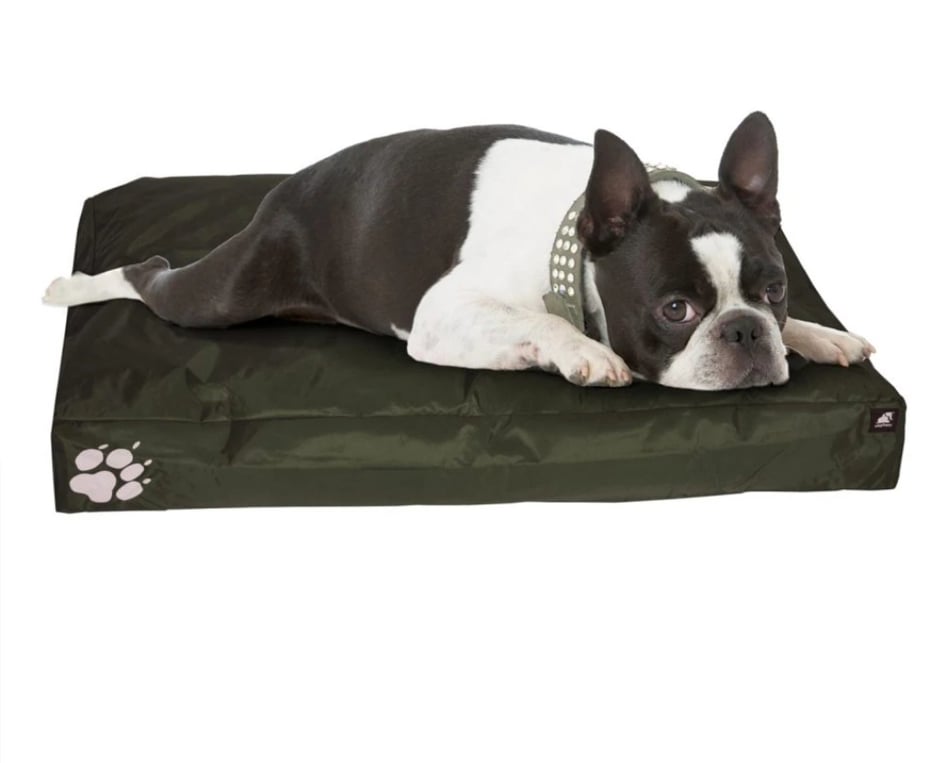 Elephant Dog Beds - Owl & Trowel Ltd.