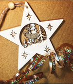 Hanging Christmas Star Mix
