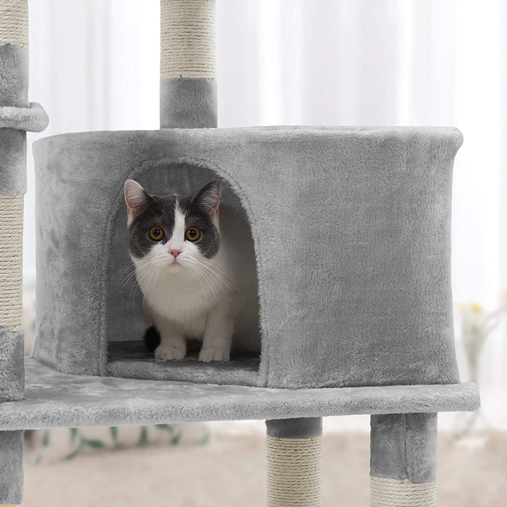 Cats Play House